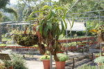 DSC05361