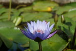 DSC05379