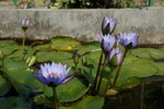 DSC05380
