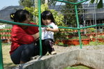 DSC05384