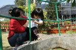 DSC05386