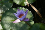 DSC05395