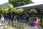 DSC05427