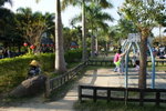 DSC05484