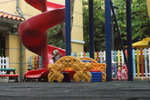 DSC07460