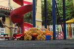 DSC07461