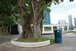 DSC07754
