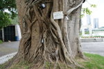 DSC07755