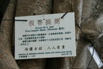 DSC07756