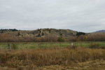 DSC00606