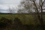 DSC00769