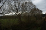DSC00771