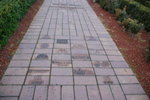 DSC00801