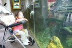 PICT0111