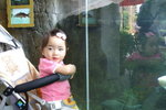 PICT0113