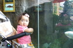 PICT0114