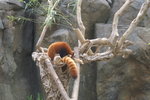 PICT0117