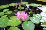 PICT0133