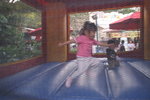 PICT0248