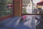 PICT0260