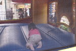 PICT0262