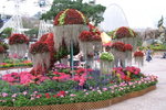 PICT0310