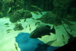 DSC04001