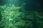 DSC04004