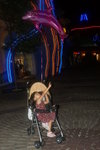 DSC04040