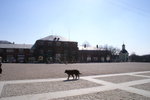 PICT0022