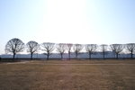 PICT0025