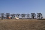 PICT0049