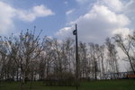 PICT0160