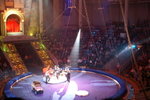 PICT0179