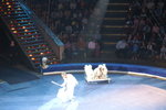 PICT0181