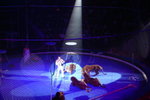 PICT0184