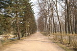 PICT0234
