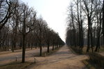 PICT0237