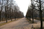 PICT0238