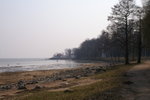 PICT0242