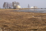 PICT0245