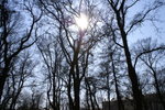PICT0258