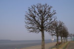 PICT0258