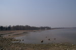 PICT0260