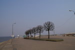 PICT0262