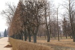 PICT0264