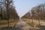 PICT0265