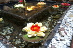 PICT0278