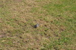 PICT0372
