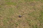 PICT0373